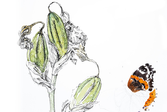 Unsere Mitarbeiter sind kreativ – Thora Wertmann mit Kunst Workshops 2026 im Schlossgarten Petzow