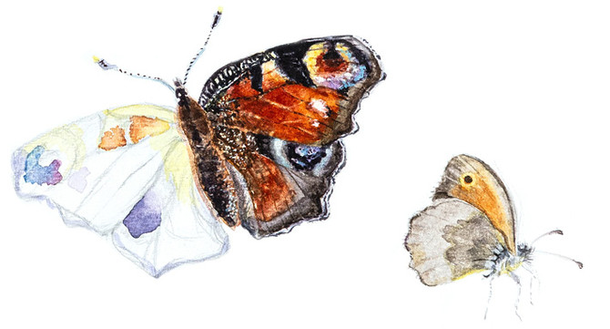 Unsere Mitarbeiter sind kreativ – Thora Wertmann mit Kunst Workshops 2026 im Schlossgarten Petzow